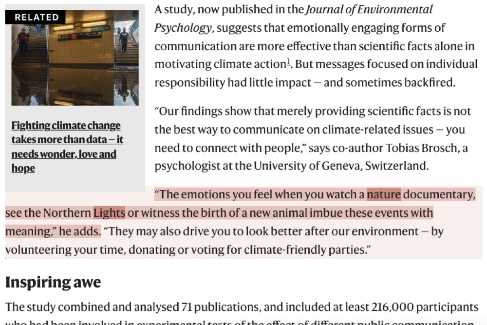 A paragraph with the sentence being read highlighted, and the terms it keeps returning to picked out inside it.